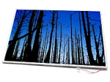 TELA LCD NOTEBOOK 15.6 WXGA AUO