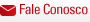 Fale Conosco